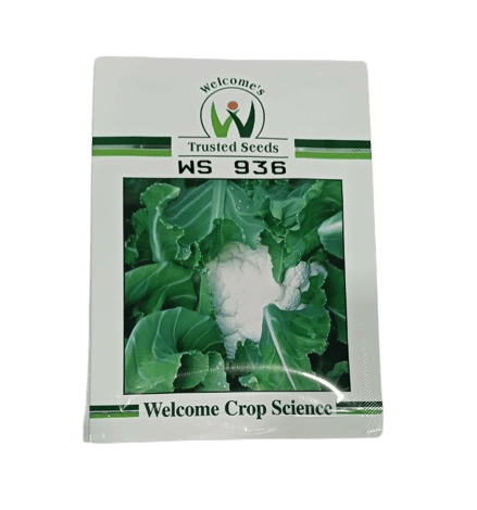 Welcome Califlower WS 936 - 10gm