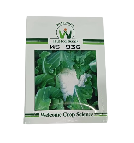 Welcome Califlower WS 936 - 10gm