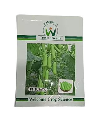 Welcome Cucumber Sujata F1 - 500 SEEDS