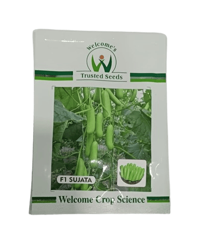 Welcome Cucumber Sujata F1 - 500 SEEDS
