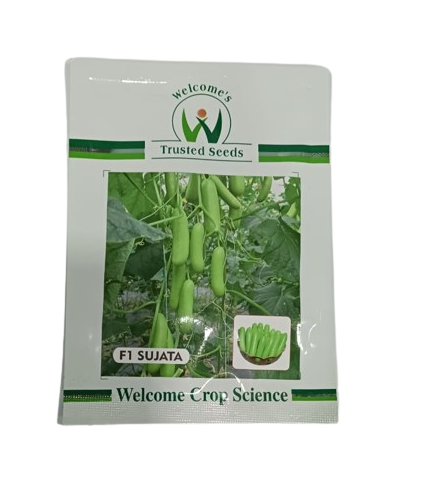 Welcome Cucumber Sujata F1 - 500 SEEDS