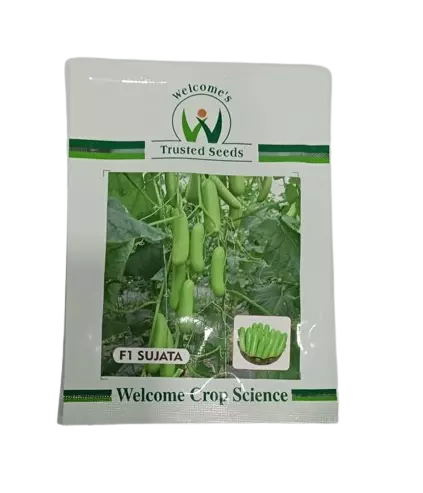 Welcome Cucumber Sujata F1 - 500 SEEDS