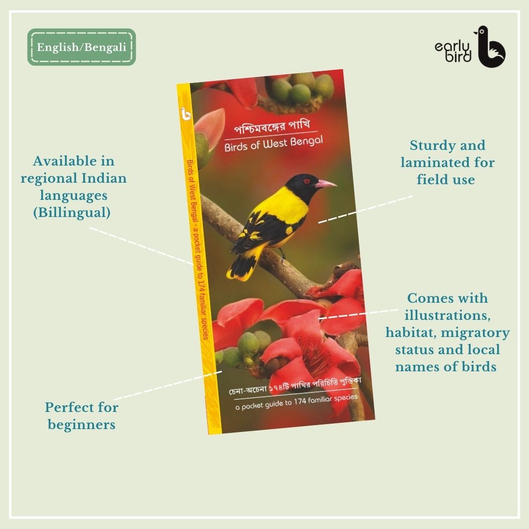 Early Bird Pocket Guides