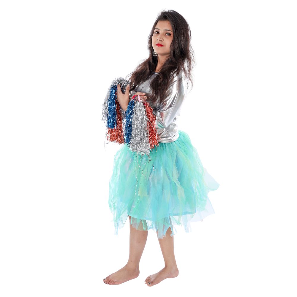 Western Dance Skirt Top Silver And Blue