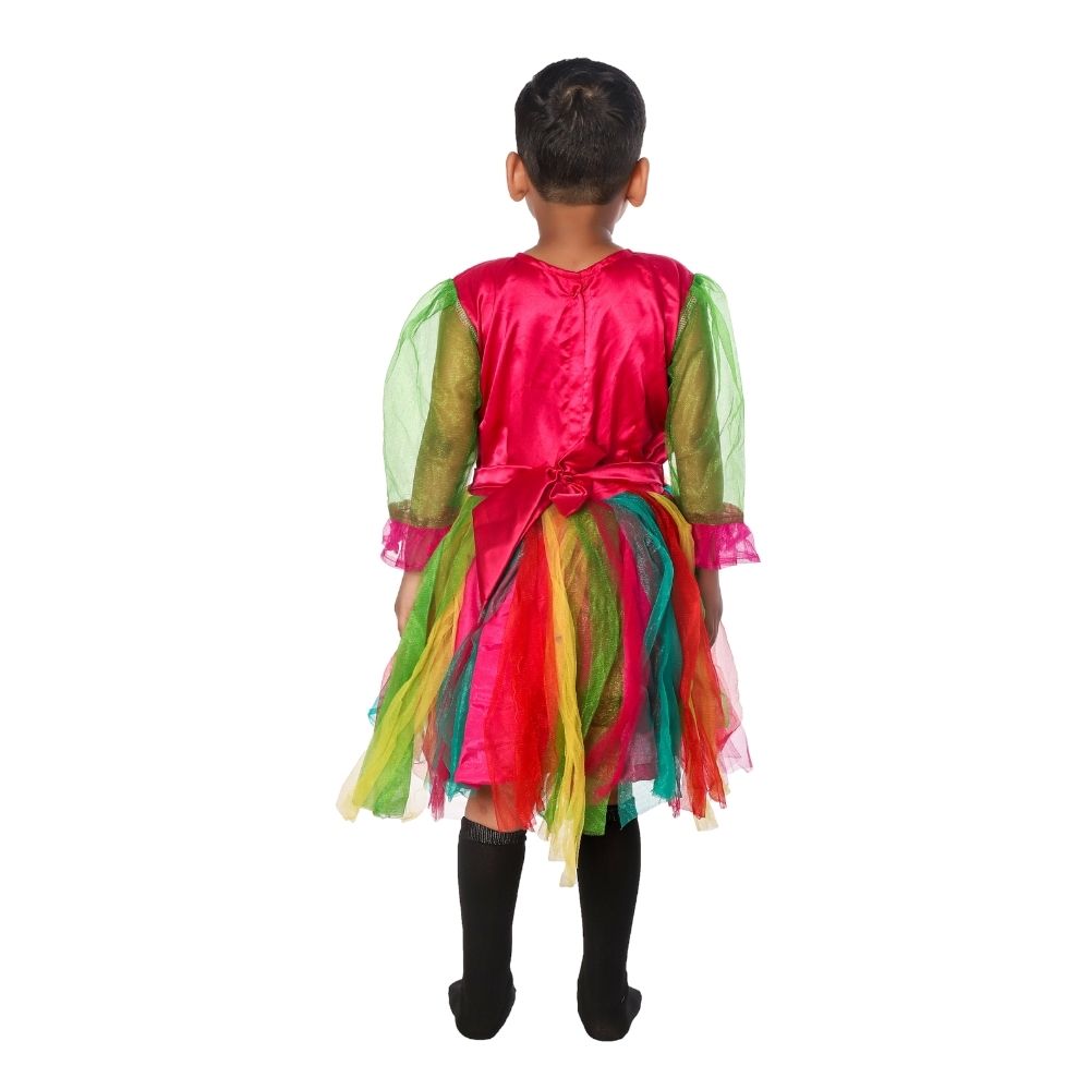 Western Style Frock Fancy Dress Costume