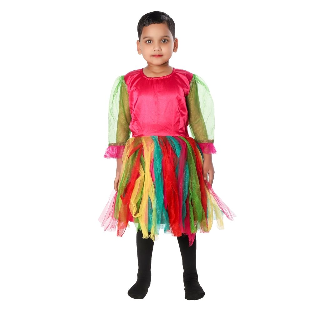 Western Style Frock Fancy Dress Costume