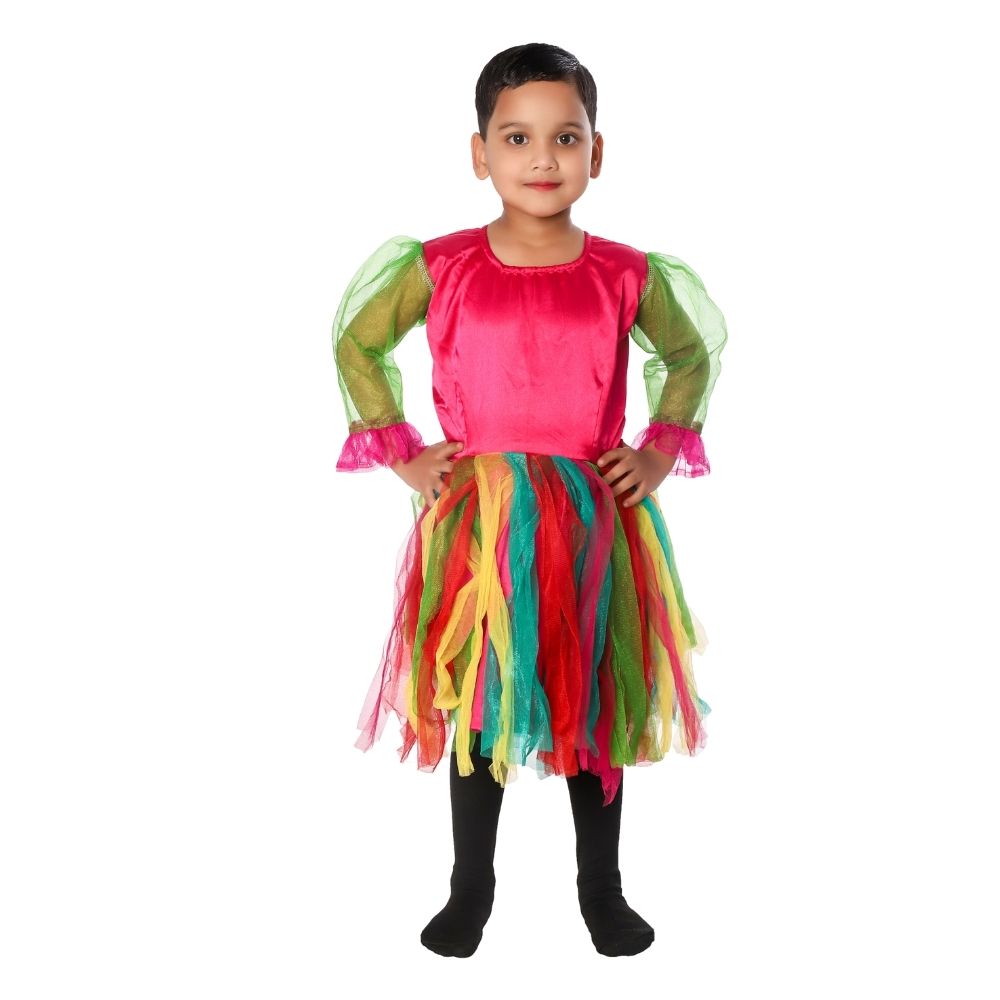 Western Style Frock Fancy Dress Costume