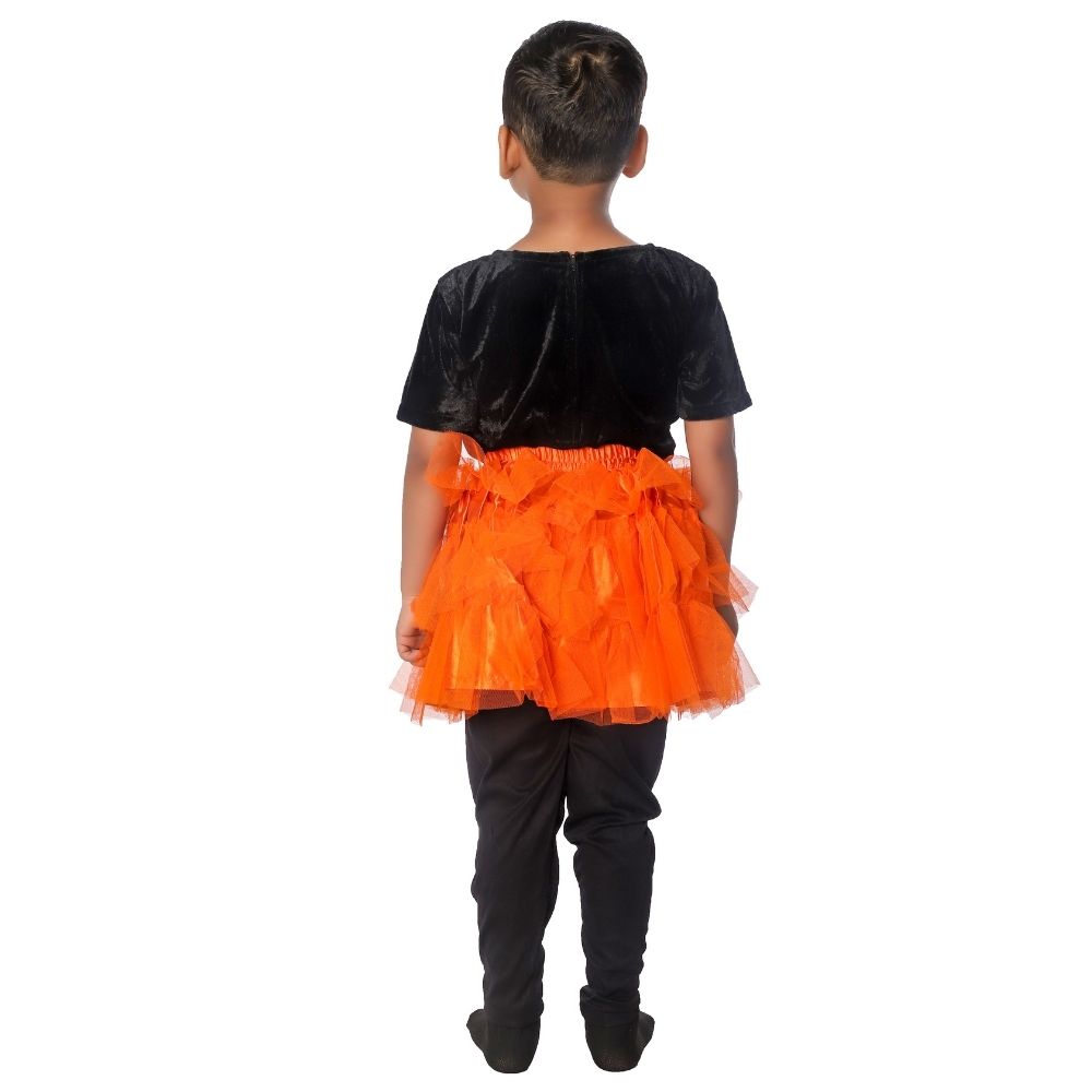 Western Dance Skirt Top Fancy Dress Costume