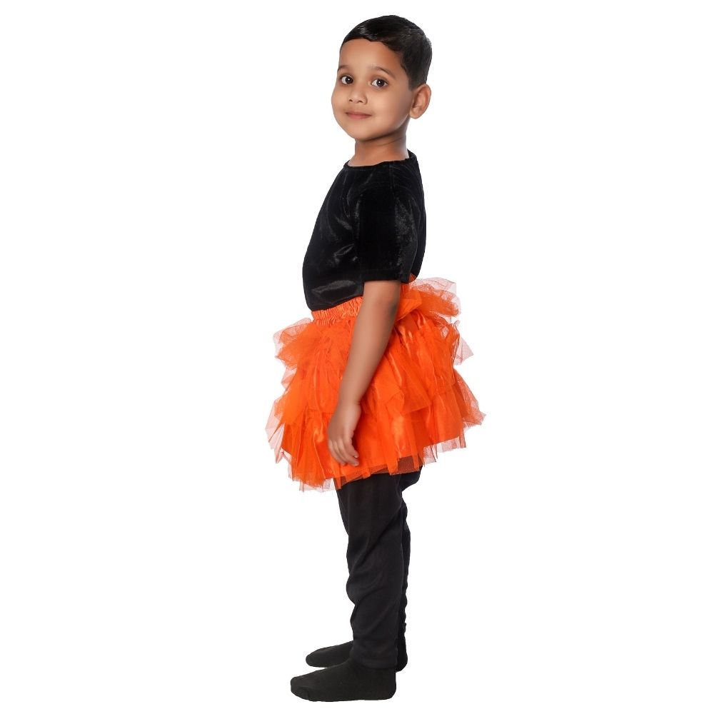 Western Dance Skirt Top Fancy Dress Costume