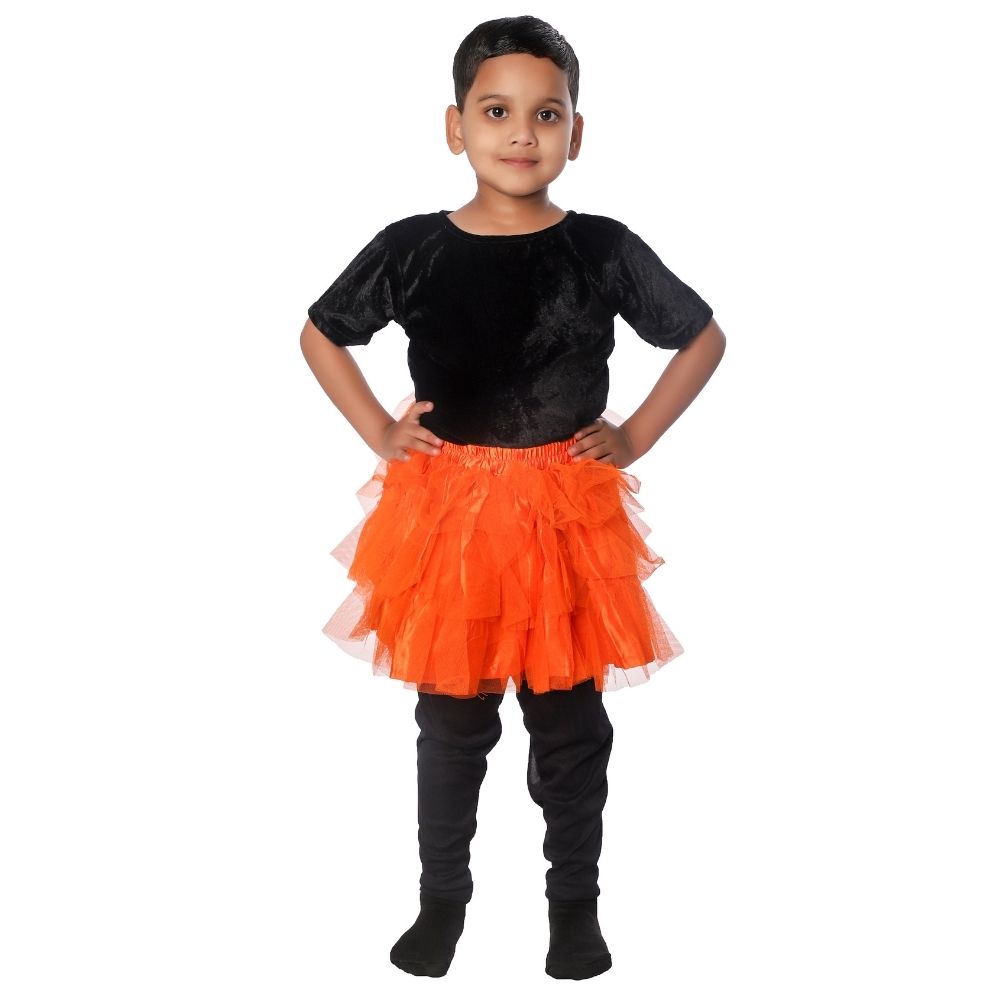 Western Dance Skirt Top Fancy Dress Costume