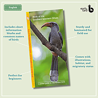 Early Bird Pocket Guides - Bulk Purchase of 50 Early Bird Pocket Guides - Bulk Purchase of 50