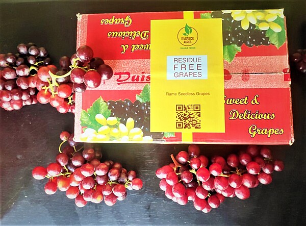 Flame Seedless grapes(2 Kg box)