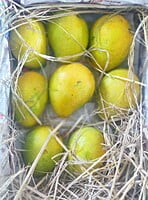 BANGINAPALLY - 5 Kgs BANGINAPALLY - 5 Kgs