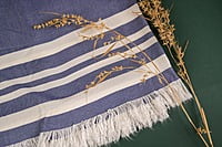 Bamboo Ultra Soft & Thin Turkish Towel- Quick Dry, Super Absorbent, Anti Bacterial, Ideal for Bath,Travel,Gym,Beach,Pool & Yoga (powder blue)