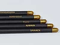 Plantable black paper Seed Pencils Eco-Friendly Charcoal Pencil for Kids School | wood-free pencils(Pack of 5) Plantable black paper Seed Pencils Eco-Friendly Charcoal Pencil for Kids School | wood-free pencils(Pack of 5)