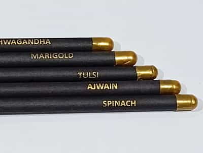 Plantable black paper Seed Pencils Eco-Friendly Charcoal Pencil for Kids School | wood-free pencils(Pack of 5)