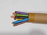 Plantable Seed Wax Crayons with tube box Color Seed Eco-Friendly| wood-free(10pcs per Box) Plantable Seed Wax Crayons with tube box Color Seed Eco-Friendly| wood-free(10pcs per Box)