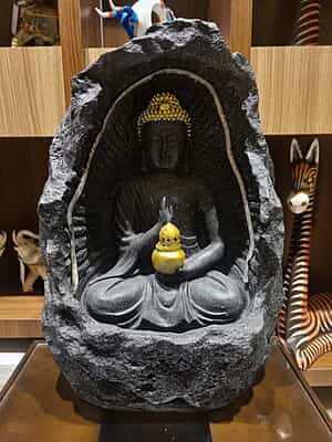 Budha Black