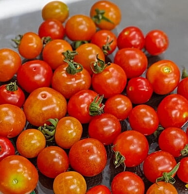 CHERRY TOMATOES(65 per 500gm)