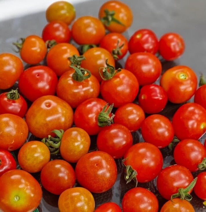 CHERRY TOMATOES(65 per 500gm)