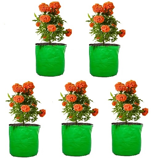HDPE UV Plant Grow Bags, 9 x 9 inch, MultiPack, Green, for Terrace Gardening and Fruit Plants