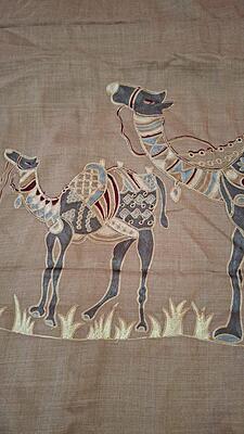 Shawl in beige color