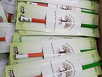 Tri Color Seed Pencils Eco-Friendly Charcoal Pencil | wood-free pencils(Pack of 10) Tri Color Seed Pencils Eco-Friendly Charcoal Pencil | wood-free pencils(Pack of 10)