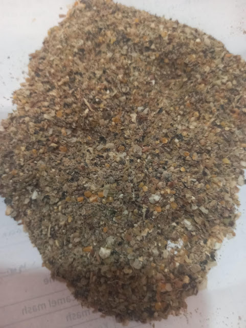 LG Kerala Super Mash