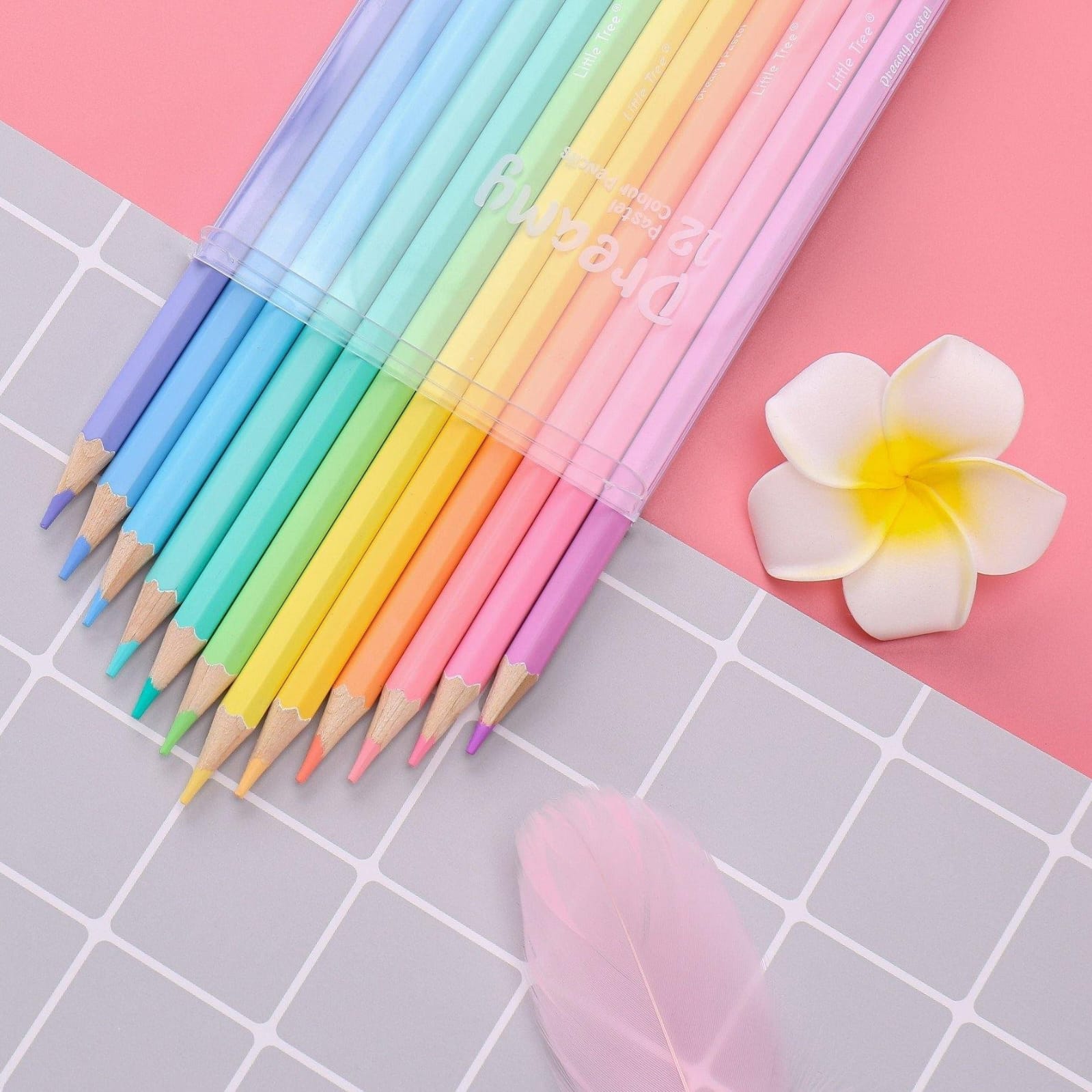 Pastel Pencil Color