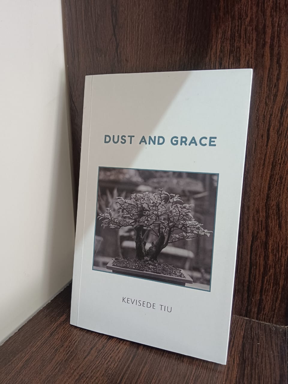 DUST AND GRACE