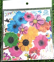 Edible wafer cuts Flowers