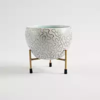 White & Gold Abstract