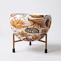 Autumn Leaf