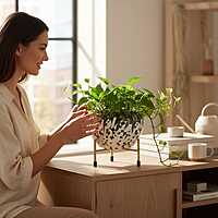 Artistic Green Mosaic