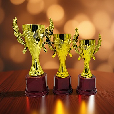 RC-CP1887 F GOLD 24CM