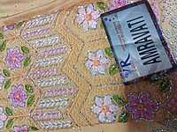 Siroski Stones Saree Light Orenge Colour With Maggam Work Blouse