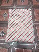 Georgette Saree Pink Colour With Lines Pattern