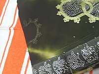 Muruga Print Siroski Stone Saree Green Colour