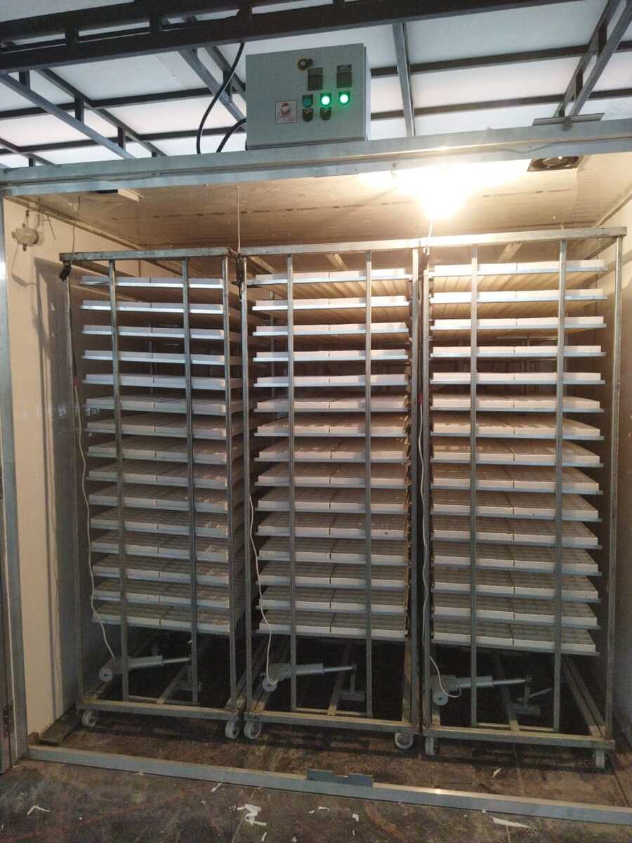 Automatic Commercial Egg Setter Cap.-18,360 Eggs. (Model-IS 18) Automatic Commercial Egg Setter Cap.-18,360 Eggs. (Model-IS 18)