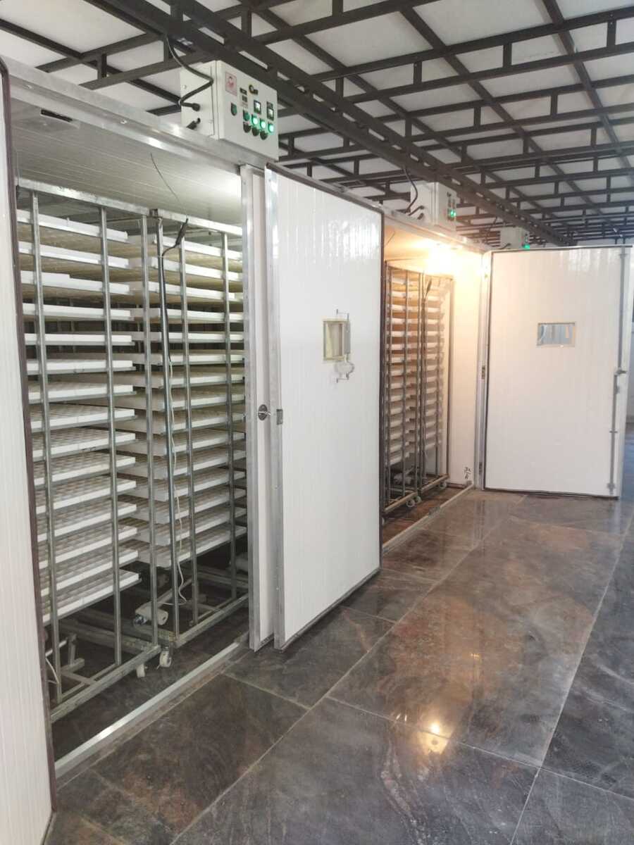 Automatic Commercial Egg Setter Cap.-36720 Eggs. (Model-IS 36) Automatic Commercial Egg Setter Cap.-36720 Eggs. (Model-IS 36)