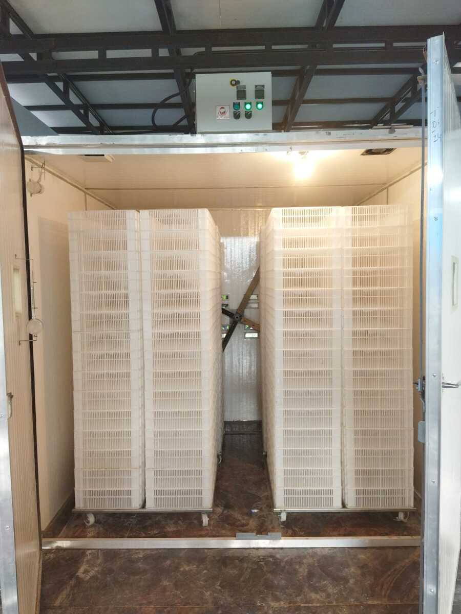 Automatic Commercial Egg Hatcher Cap.-12240 Eggs. (Model-IH 12)