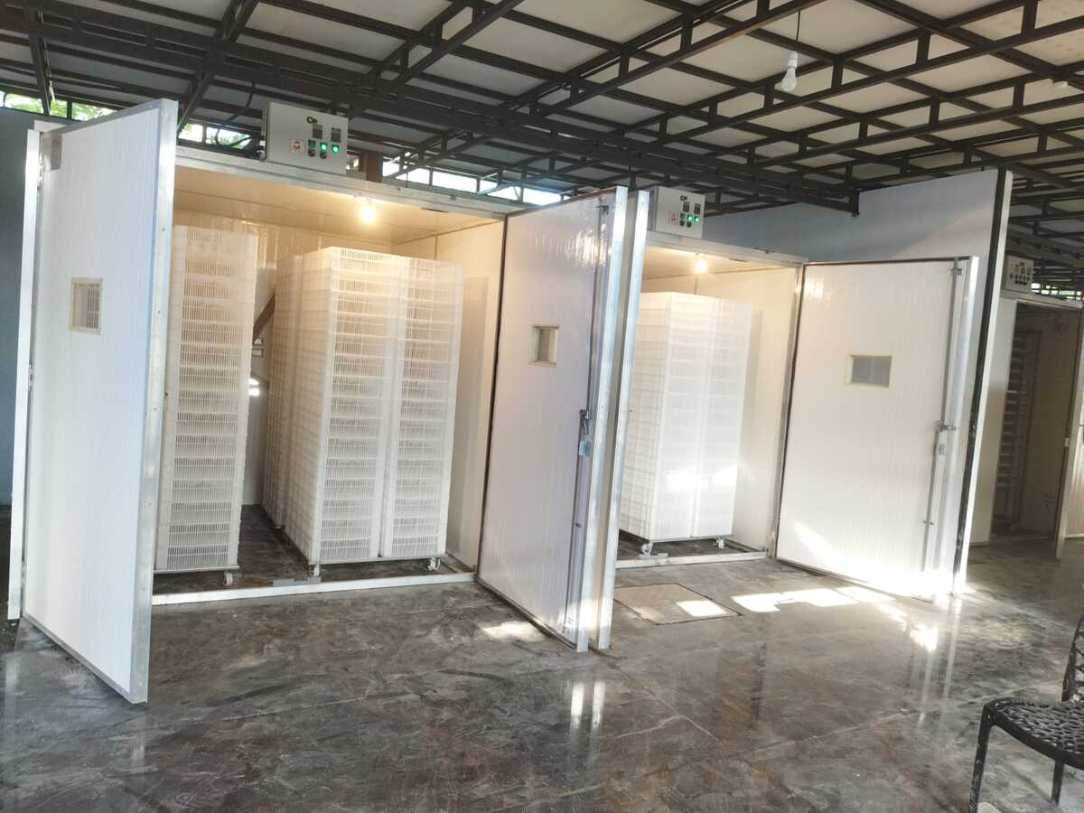 Automatic Commercial Egg Hatcher Cap.-24480 Eggs. (Model-IH 24) Automatic Commercial Egg Hatcher Cap.-24480 Eggs. (Model-IH 24)