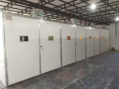 Automatic Commercial Egg Setter Cap.-73,440 Eggs. (Model-IS 73) Automatic Commercial Egg Setter Cap.-73,440 Eggs. (Model-IS 73)