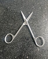 Dissecting scissors, straight, sharp points, stainless steel
