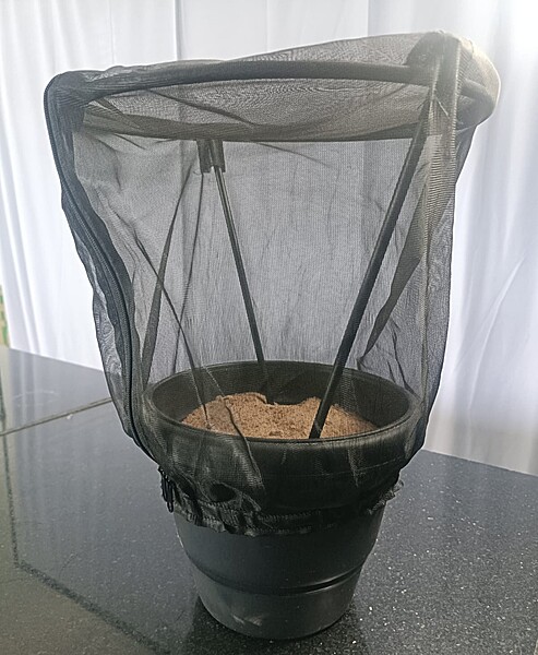 Insect rearing tent for potted plants flek-autofold-potteddome-2030