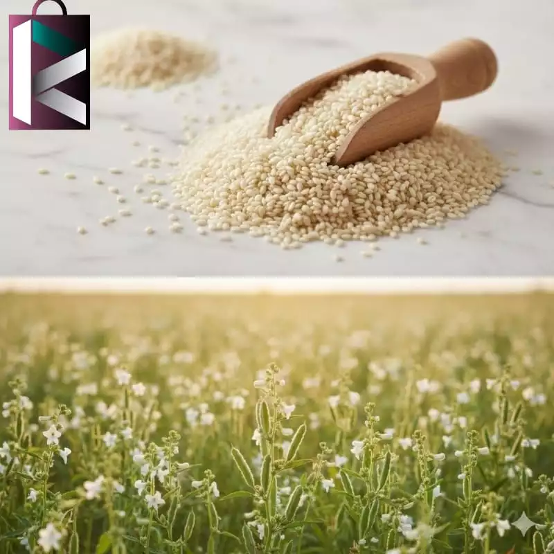 TILLI POLISH 500GM