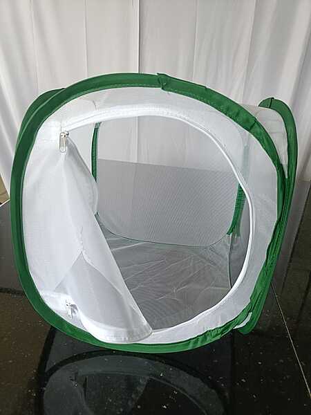 Flekcible insect rearing cage