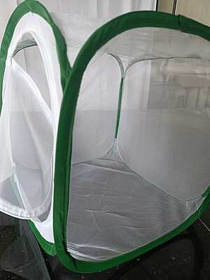 Flekcible insect rearing cage