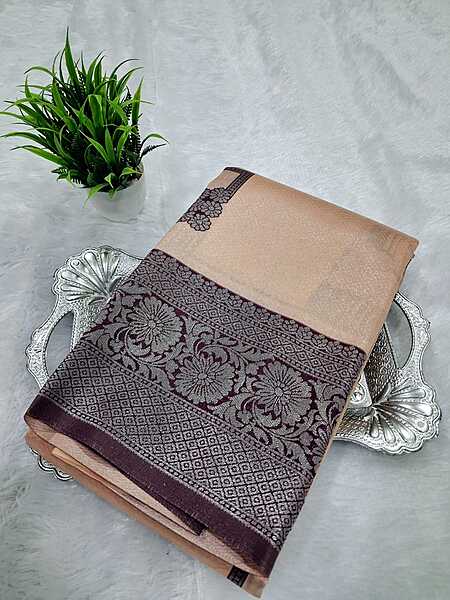 Kanchi Silver Silk Saree 2