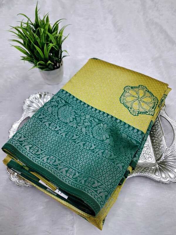 Kanchi Silver Silk Saree 5